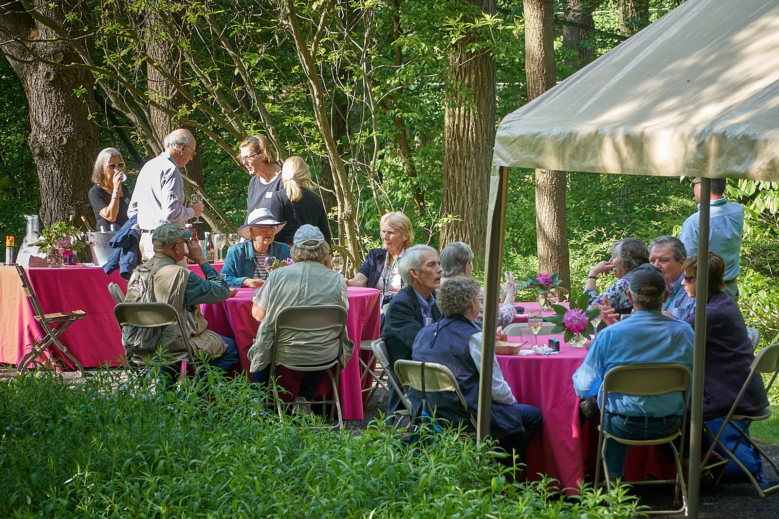 Jenkins Hosts American Rhododendron Society Reception