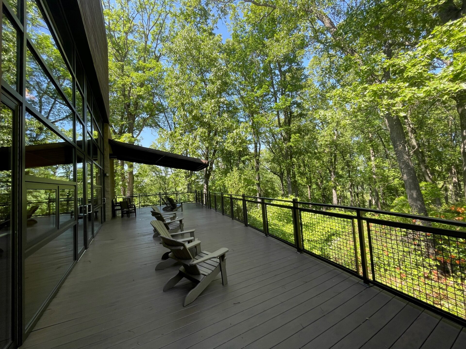 Adirondack chairs lining the Tree Canopy Deck at Jenkins with bright blue sky peeking through the leafy canopy.