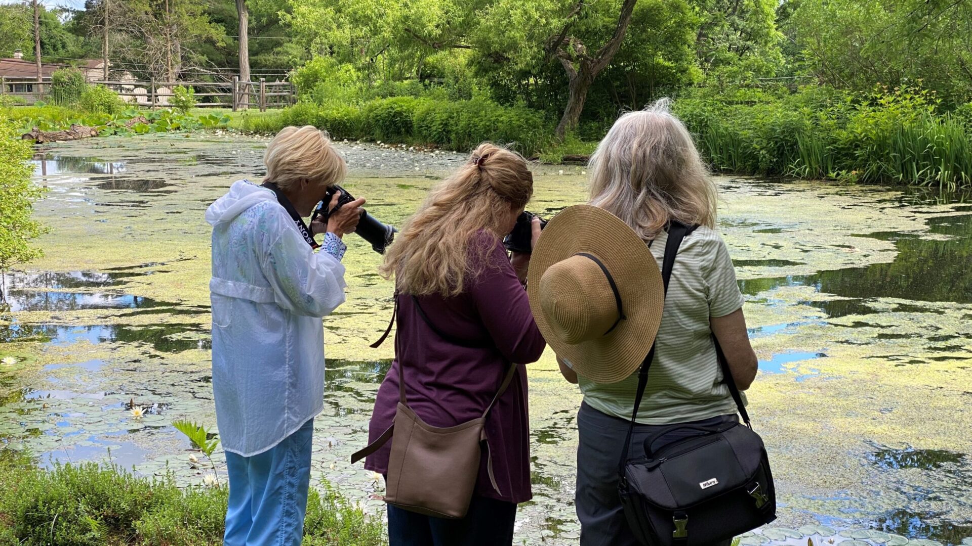 Three women with large cameras taking photos of the pond at Jenkins.