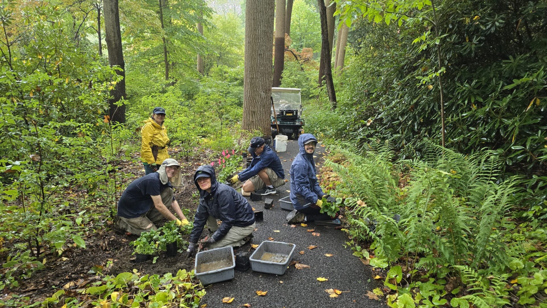 A group of volunteers in hats and rain jackets smile at the camera while working on a planting project along the edge of a paved path.